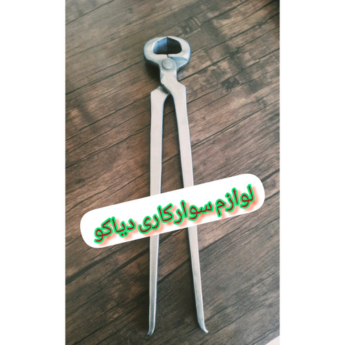 سم چین پاکستانی
